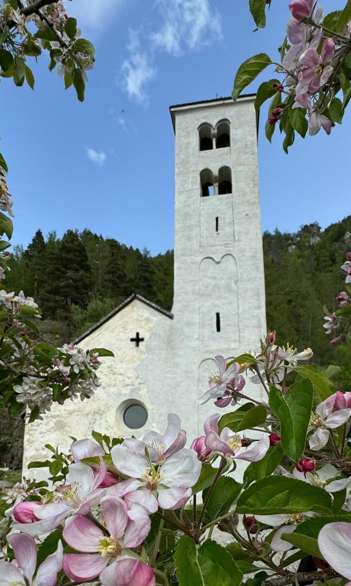 Ferienwohnungen Jojasa Лачес Экстерьер фото
